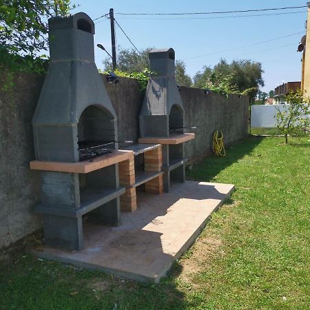 Villa Flora Affittacamere Luni Exteriér fotografie