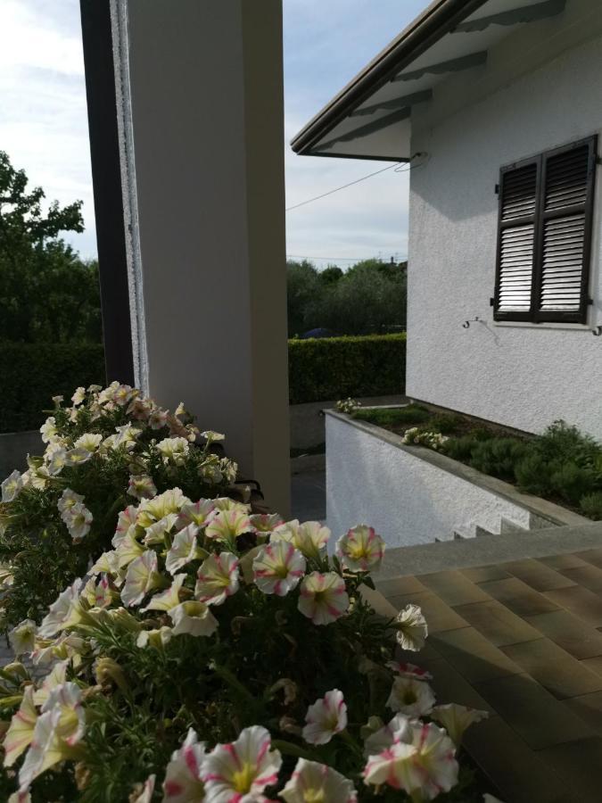 Villa Flora Affittacamere Luni Exteriér fotografie