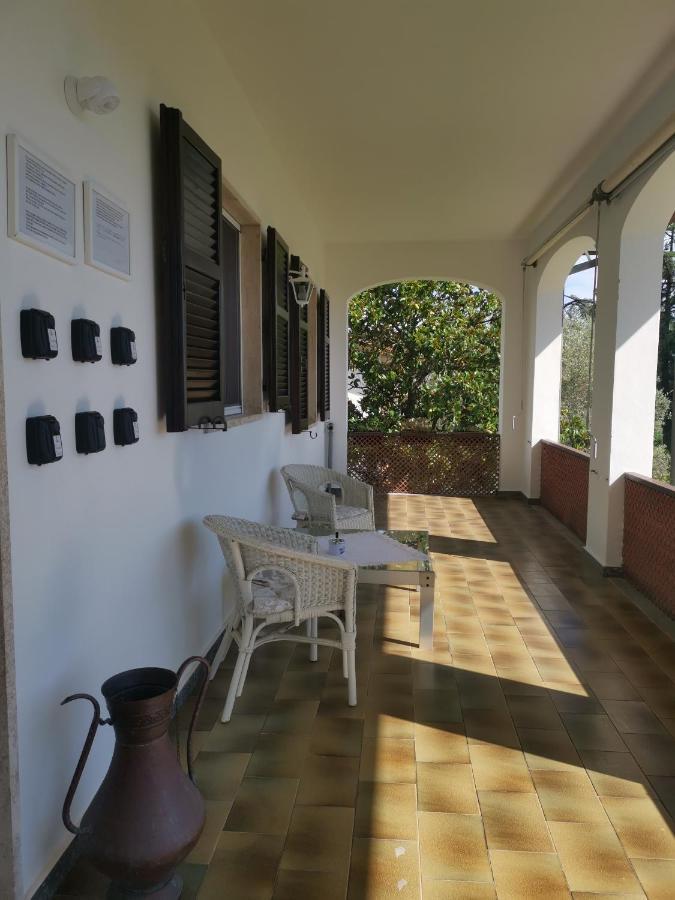 Villa Flora Affittacamere Luni Exteriér fotografie